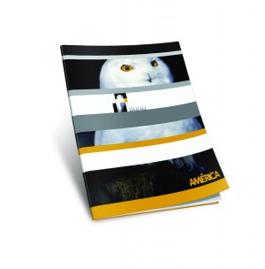 AMERICA CUADERNO T/F x 24hj LISO